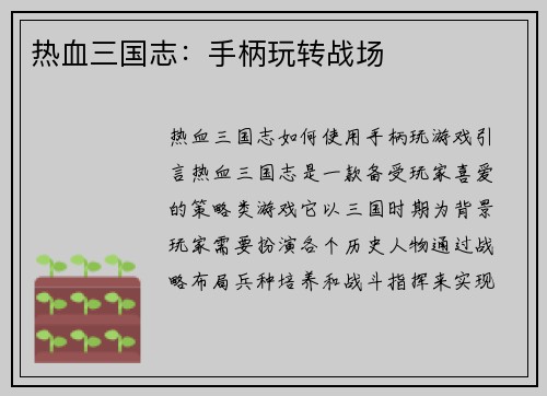 热血三国志：手柄玩转战场